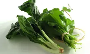 Due mazzi di coste verdura fresche, legate con spago, su sfondo bianco.