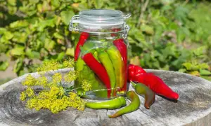 Barattolo di peperoncini sott'olio, con fiori di finocchio e peperoncini freschi su un ceppo di legno.