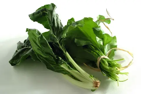 Due mazzi di coste verdura fresche, legate con spago, su sfondo bianco.