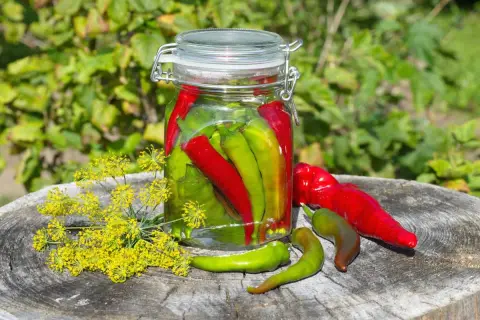 Barattolo di peperoncini sott'olio, con fiori di finocchio e peperoncini freschi su un ceppo di legno.
