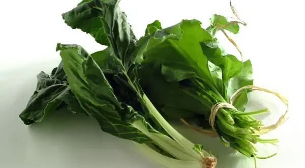 Due mazzi di coste verdura fresche, legate con spago, su sfondo bianco.