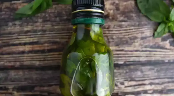 Olio al basilico fatto in casa da Benedetta, profumato e verde brillante, pronto per insaporire i tuoi piatti.