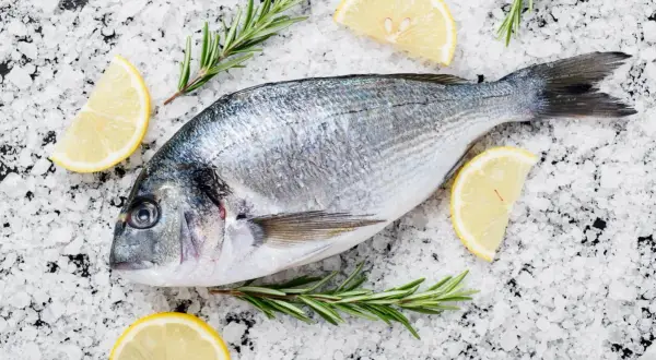 Orata al sale, pronta per essere cucinata, adagiata su un letto di sale grosso con spicchi di limone e rametti di rosmarino.
