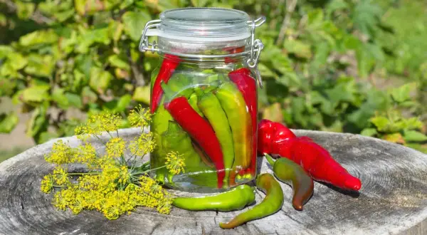 Barattolo di peperoncini sott'olio, con fiori di finocchio e peperoncini freschi su un ceppo di legno.