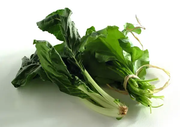 Due mazzi di coste verdura fresche, legate con spago, su sfondo bianco.