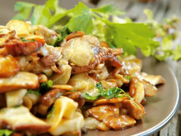 Un piatto invitante di funghi trifolati, dorati e profumati, guarniti con erbe fresche.